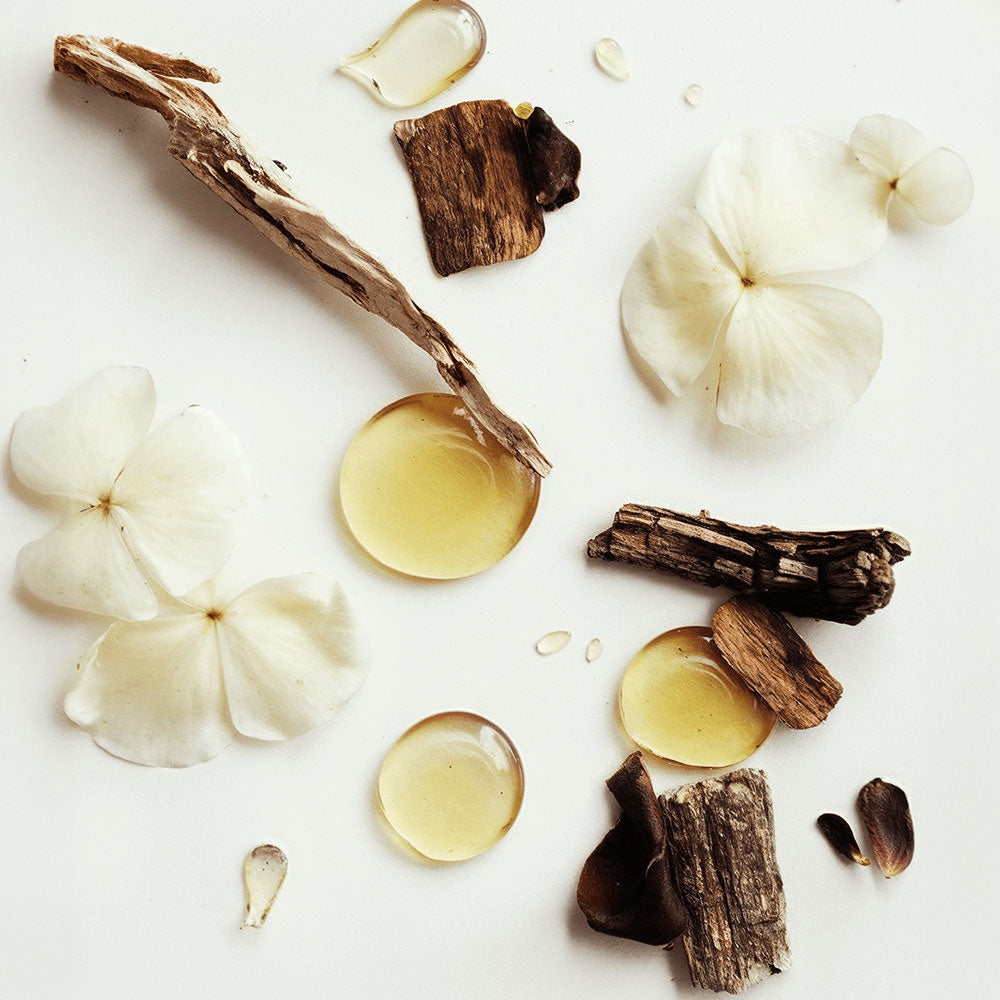 AELORA™ Grass-Fed Whipped Tallow Balm